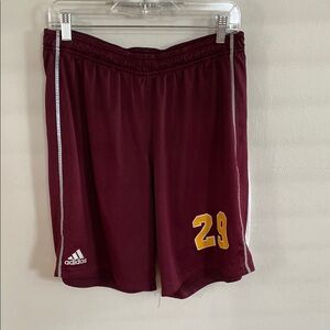 Adidas Climacool Athletic Shorts